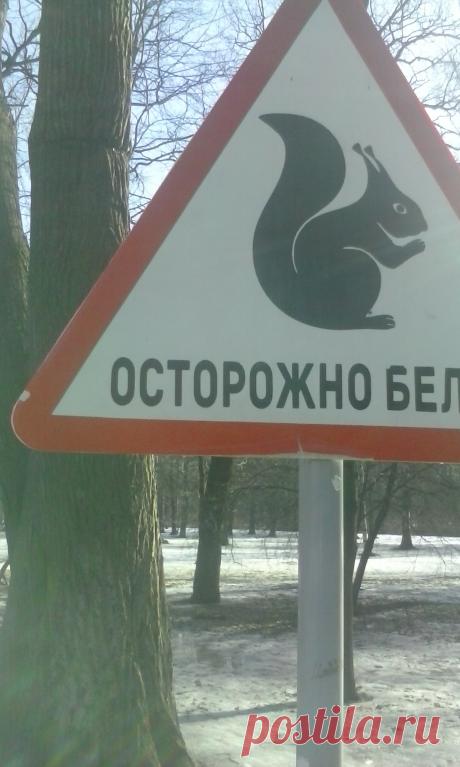 Топики по немецкому языку