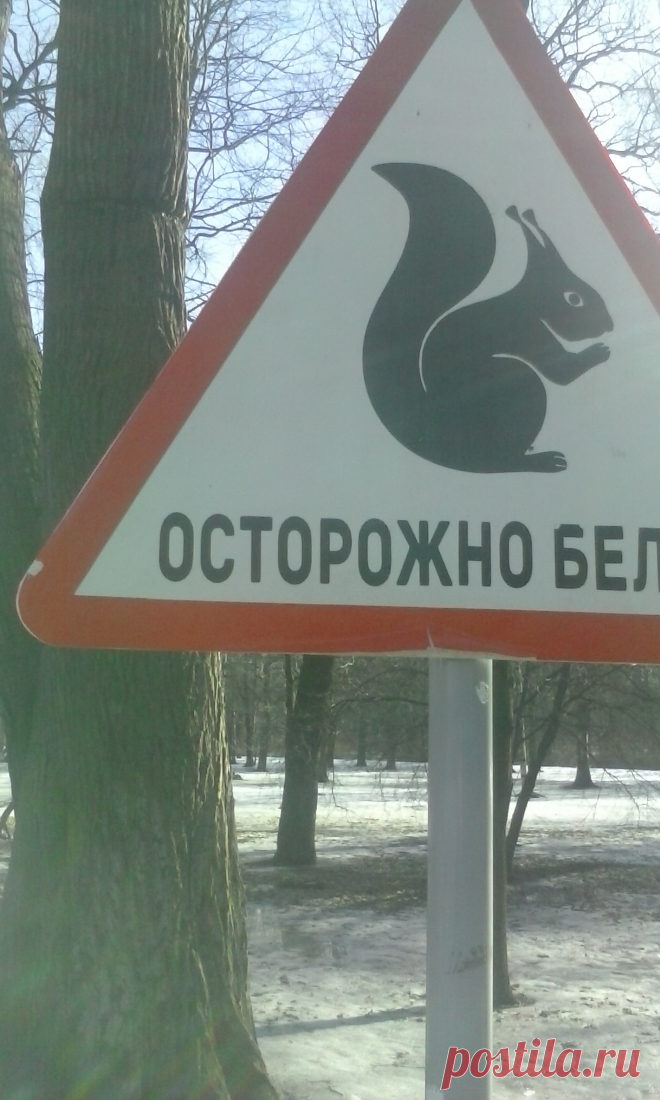 Топики по немецкому языку