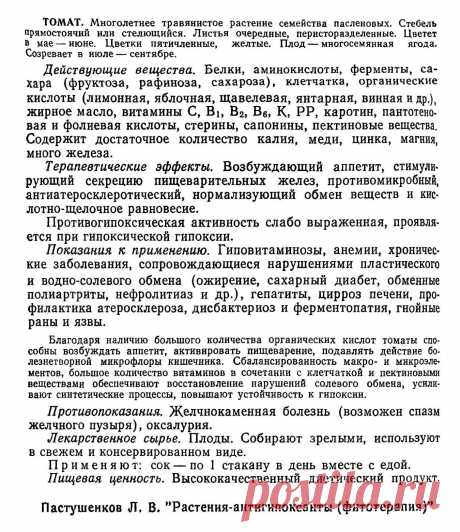 Томат (помидор)
