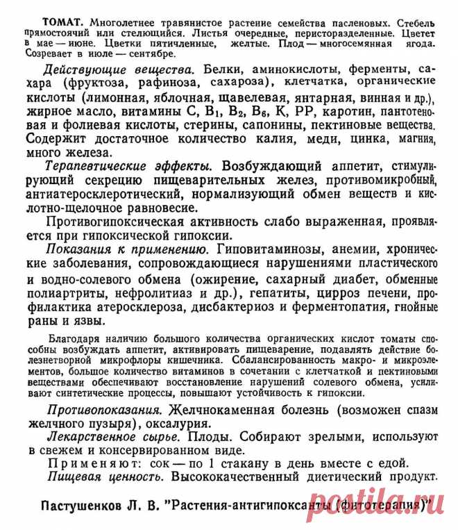Томат (помидор)