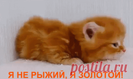 Прелесть )