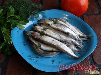 Мойва пряного посола » Домашние рецепты - советы - диеты и многое другое с пошаговыми фото на сайте - домашние рецепты