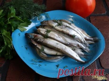 Мойва пряного посола » Домашние рецепты - советы - диеты и многое другое с пошаговыми фото на сайте - домашние рецепты