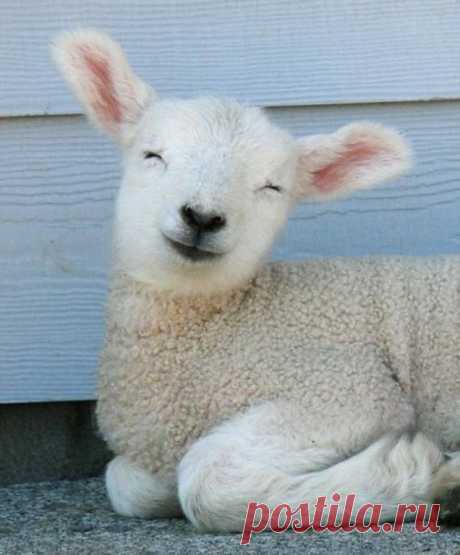OMG can't take the cuteness