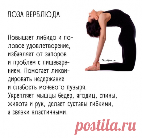 Поза Верблюда (Уштрасана)