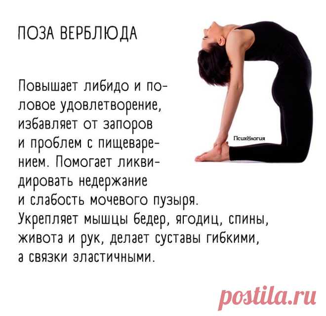 Поза Верблюда (Уштрасана)