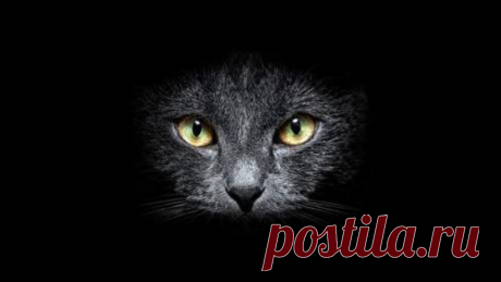 The Reluctant Optimist