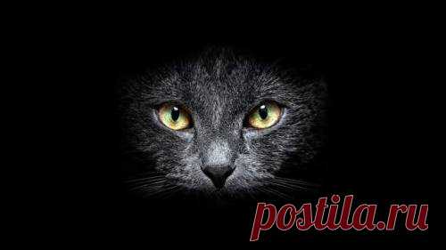 The Reluctant Optimist