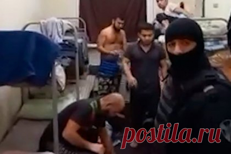Задержание ФСБ более 70 нелегальных мигрантов под Гатчиной попало на видео. Задержание ФСБ более 70 нелегальных мигрантов под Гатчиной попало на видео. На кадрах видно, как бойцы спецслужбы заходят в жилище мигрантов, просят их предъявить документы. Затем они отводят фигурантов в служебный автомобиль. Задержанные — уроженцы «регионов с повышенной террористической опасностью».