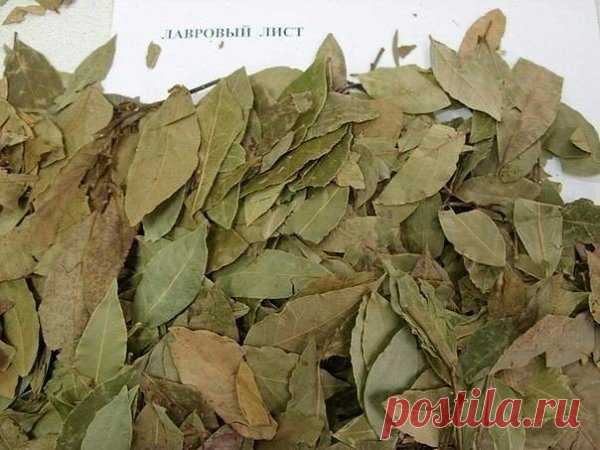 Интересные новости
