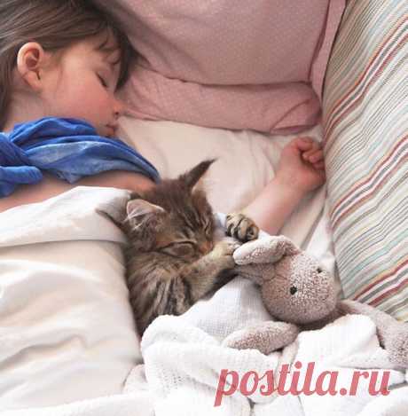 Душевная дружба 5-летней больной аутизмом девочки и кошки