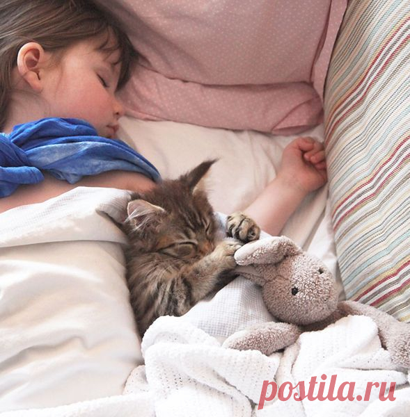 Душевная дружба 5-летней больной аутизмом девочки и кошки