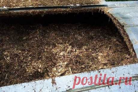 Есть идея! Что такое компост и как его производить.