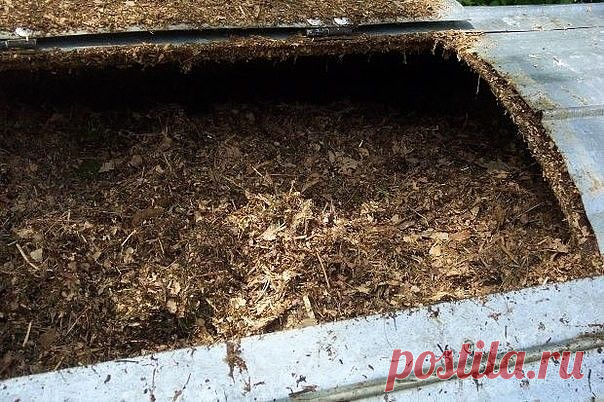 Есть идея! Что такое компост и как его производить.