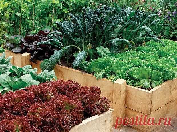 (99) Одноклассники