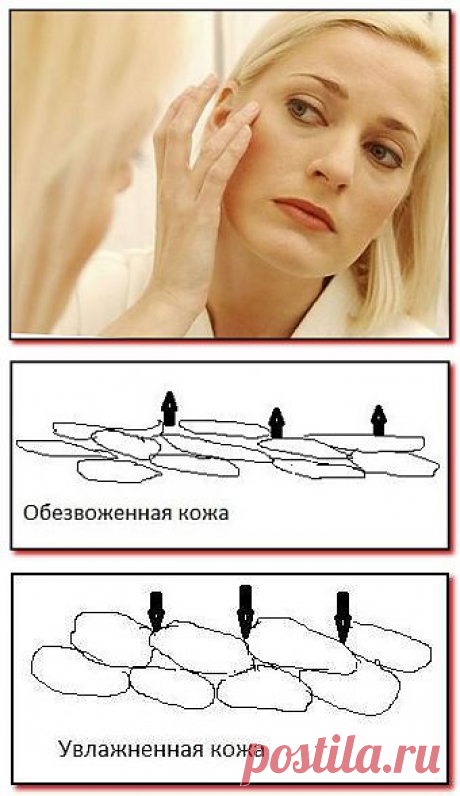Увлажнение кожи | Секреты молодости и красоты