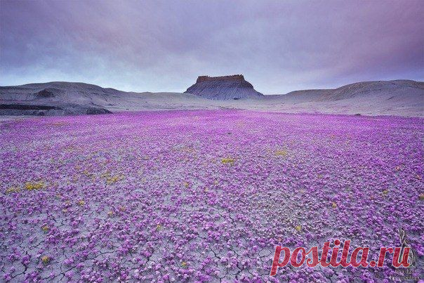 Фото Без названия. Альбом Фото группы - 50 фото. Фотографии 7 чудес света.