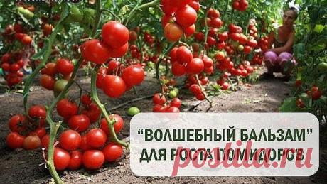 (46) Одноклассники