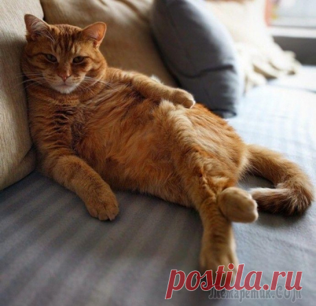 Первая модель, которая не спросила меня: - "Когда будут фотки?"