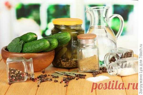 Соленые и маринованные огурцы: секреты заготовки