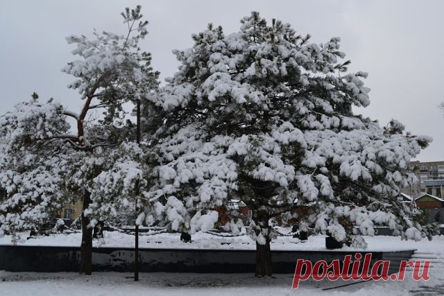 ТАГАНРОГ!
Алексей Бирюков