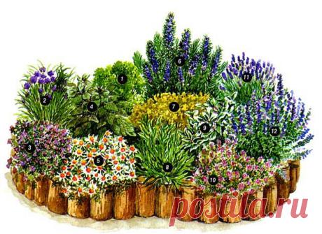 Сад с пряностями или Как вырастить душистые травы .