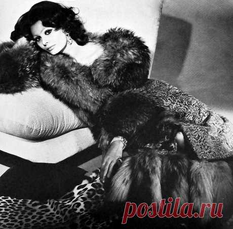 Фотография Софи Лорен