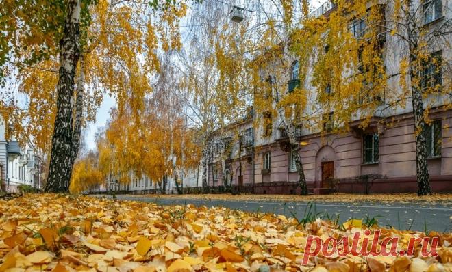 Движется осень. Стихи Саломеи Нерис, перевод с литовского Ю. Мориц. Музыка Владимира Сидорова, Исполняют Татьяна Тощилина /сопрано/ и Виктория Архангельская /фортепиано/, 2004 г.