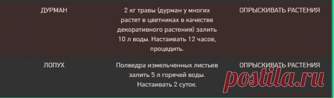 Вредители сада - тля.