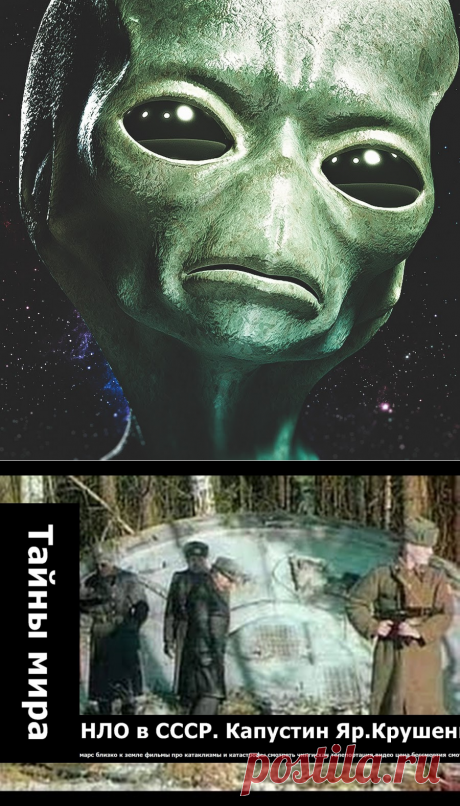Закон и Порядок. Защитим себя сами!