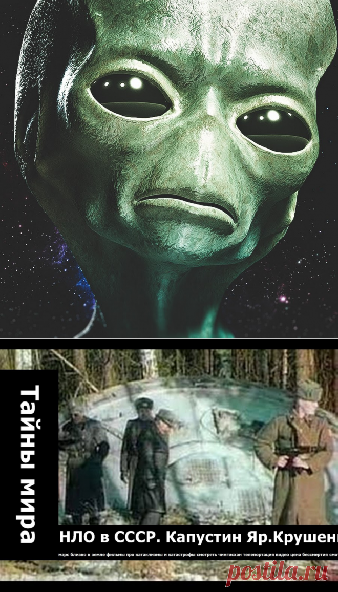 Закон и Порядок. Защитим себя сами!