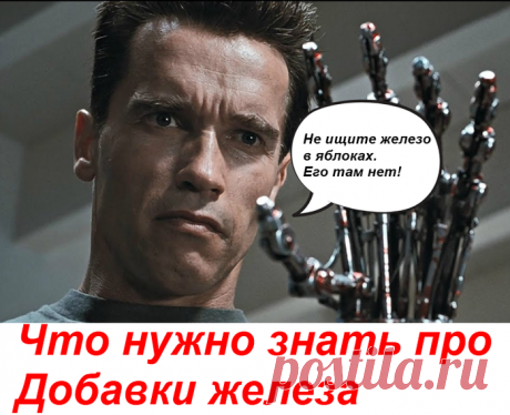 В яблоках железа нет. Во как