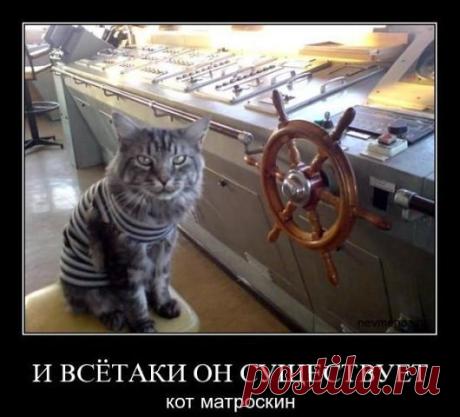 Кот Матроскин))) &amp;raquo; Авто - машины - механизмы - техника