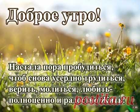 мудрость дня март: 1 тыс изображений найдено в Яндекс Картинках