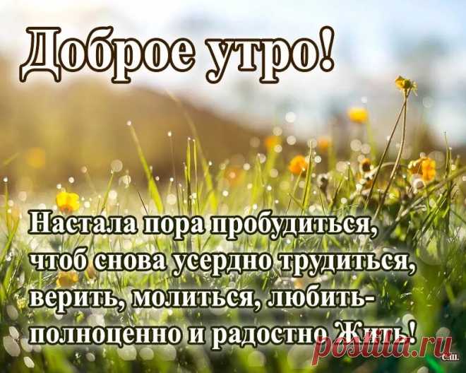 мудрость дня март: 1 тыс изображений найдено в Яндекс Картинках