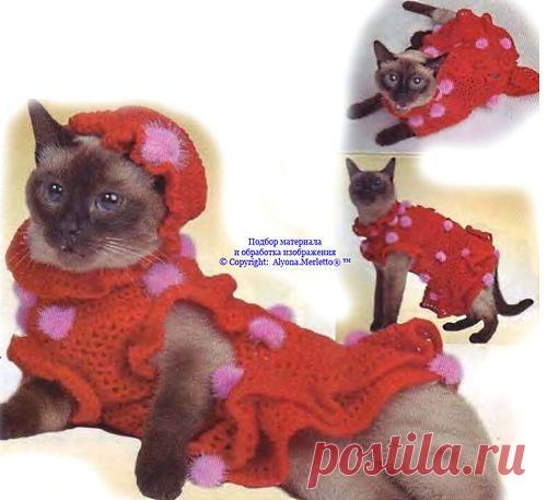 Одежда для домашних животных | Записи в рубрике Одежда для домашних животных | ЯРМАРКА_РУКОДЕЛИЯ