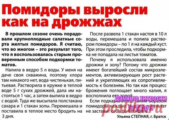 (ДЕДОВСКИЙ РЕЦЕПТ ДЛЯ ТОМАТОВ
Рецепт очень прост.
В трехлитровую банку заливаю 2,6-2,7 л воды без хлора (отстоянной), добавляю 100 г разведенных теплой водой дрожжей и 0,5 ст. сахара.
Накрыв марлей, держу банку в тепле, время от времени взбалтывая.
Раствор готов, когда закончится брожение.
Один стакан развожу в 10 л воды и поливаю растения по 1 л под каждый куст.
За лето провела три таких подкормки.