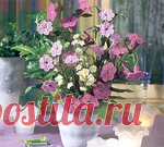 Схемы вязаных цветов