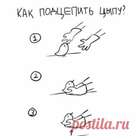 Пикап мастер / Взлом логики