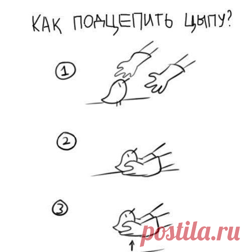 Пикап мастер / Взлом логики