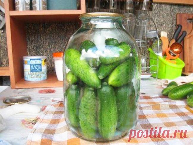 Хрустящие соленые огурцы на зиму в банках: 5 способов правильно и вкусно закатать огурцы. | Красивый Дом и Сад
