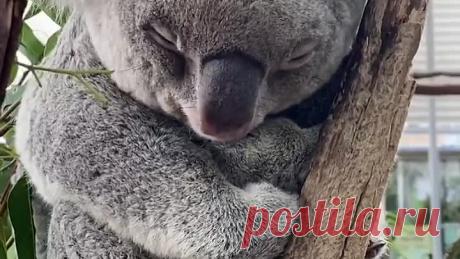 upload_251997246_file