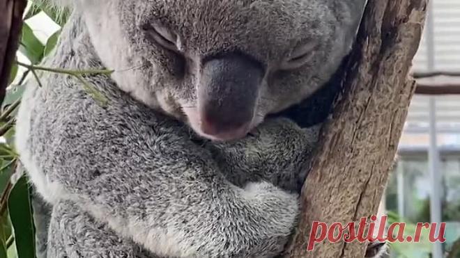 upload_251997246_file