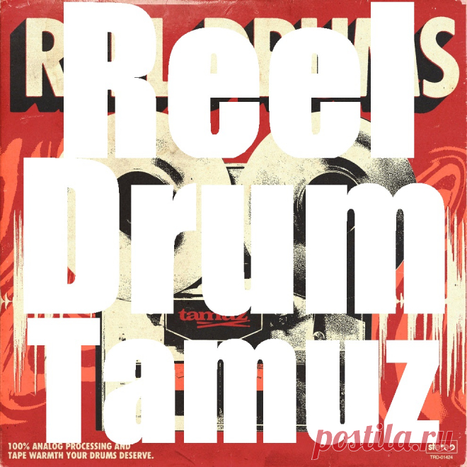 Tamuz Reel Drums WAV | 568 MB
Step into the groove with Tamuz Reel Drums – the latest release from Audio Club, where timeless analog tone meets modern rhythm. Created with a deep love for vintage gear, Tamuz Reel Drums delivers a collection of soulful, punchy drum loops and one-shots overflowing with warmth, texture, and undeniable funk.
DOWNLOAD: https://audioclub.store/samples/reel-drums-wav/