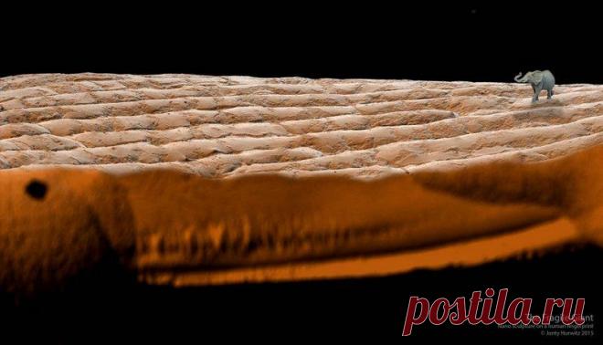 Скульптура слона, который помещен на человеческий палец. Это самый маленький объект, созданный человеком.