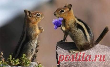 (10) Facebook