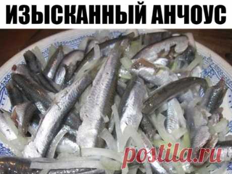 Изысканный анчоус — и потратим на это не более получаса.
Берем мойву…
Мойва, между прочим, морская рыба из семейства корюшковых, источник витаминов и минералов (витамина В12 в мойве в несколько раз больше, чем в говяжьей вырезке, навалом витамина А и D, плюс важнейшие аминокислоты — метионин, цистеин, треонин и лизин, а также: йод, фтор, бром, калий, натрий, фосфор, селен, которого в этой рыбе примерно в 10 раз больше, чем в любом мясе).
Захватывающе?
Берем мойву (килограмм), размораживаем,