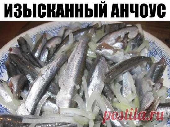 Изысканный анчоус — и потратим на это не более получаса.
Берем мойву…
Мойва, между прочим, морская рыба из семейства корюшковых, источник витаминов и минералов (витамина В12 в мойве в несколько раз больше, чем в говяжьей вырезке, навалом витамина А и D, плюс важнейшие аминокислоты — метионин, цистеин, треонин и лизин, а также: йод, фтор, бром, калий, натрий, фосфор, селен, которого в этой рыбе примерно в 10 раз больше, чем в любом мясе).
Захватывающе?
Берем мойву (килограмм), размораживаем,