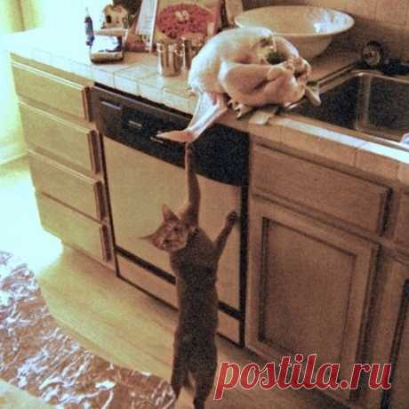 Всё так и было. Правда!