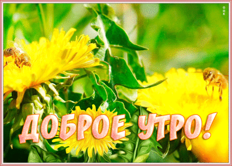 Солнечная открытка с добрым утром
